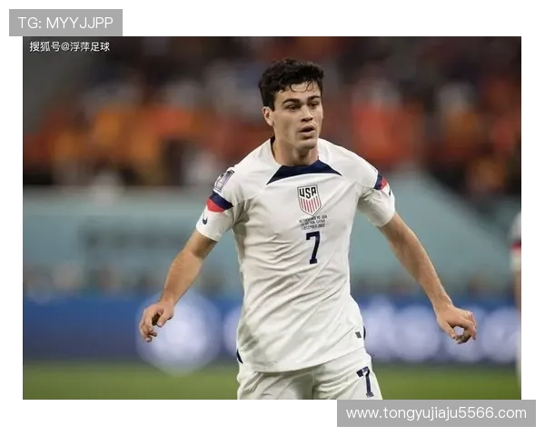 雷纳：能否入选世界杯取决于我个人的努力与新伤病应对策略